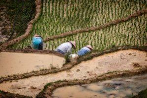 Vietnam 2016